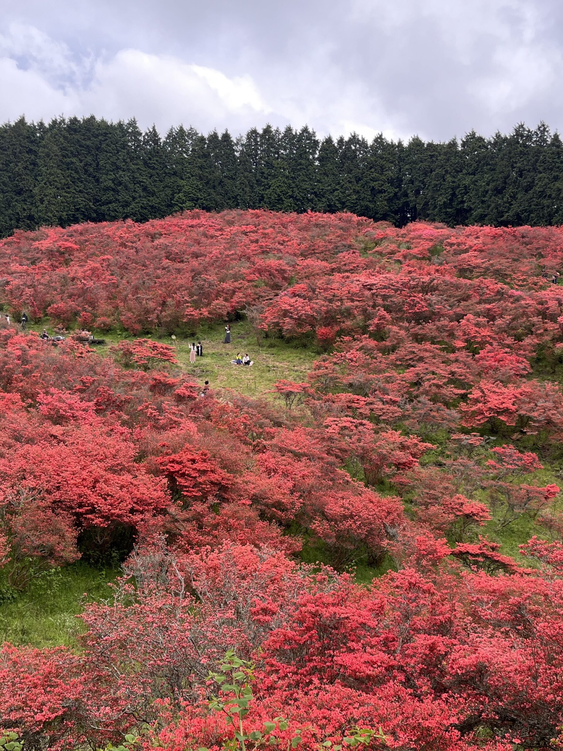 奈良・葛城山